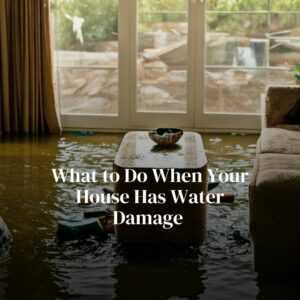What to Do When Your House Has Water Damage